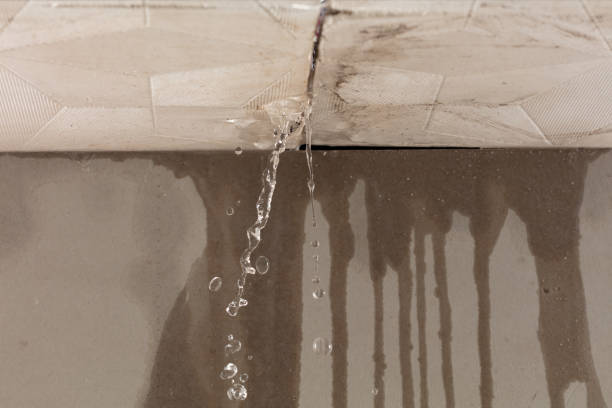 Professional Burst Pipe Cleanup technician working in Connoquenessing, PA